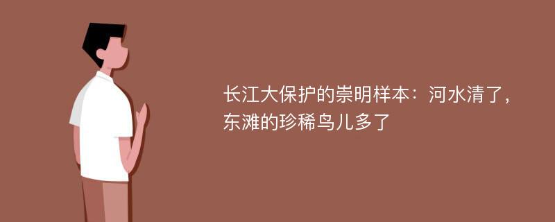 长江大保护的崇明样本：河水清了，东滩的珍稀鸟儿多了