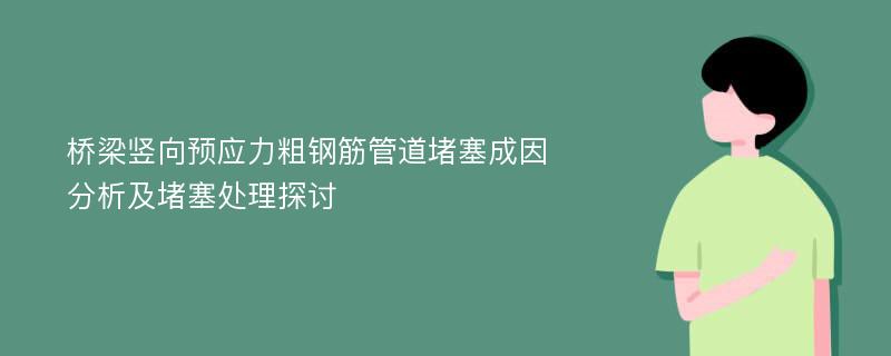 桥梁竖向预应力粗钢筋管道堵塞成因分析及堵塞处理探讨