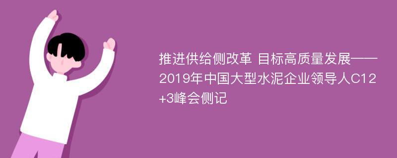 推进供给侧改革 目标高质量发展——2019年中国大型水泥企业领导人C12+3峰会侧记