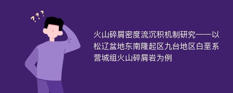 火山碎屑密度流沉积机制研究——以松辽盆地东南隆起区九台地区白垩系营城组火山碎屑岩为例