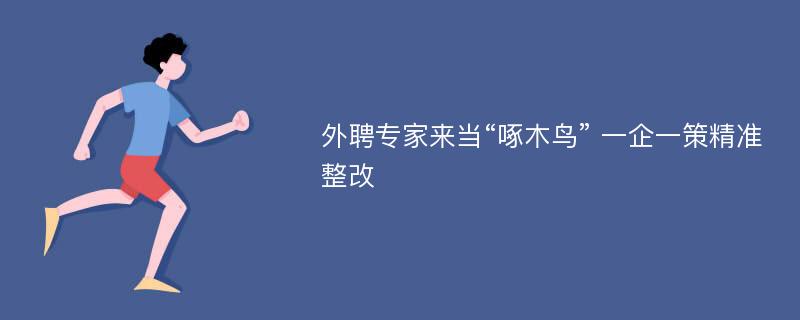 外聘专家来当“啄木鸟” 一企一策精准整改