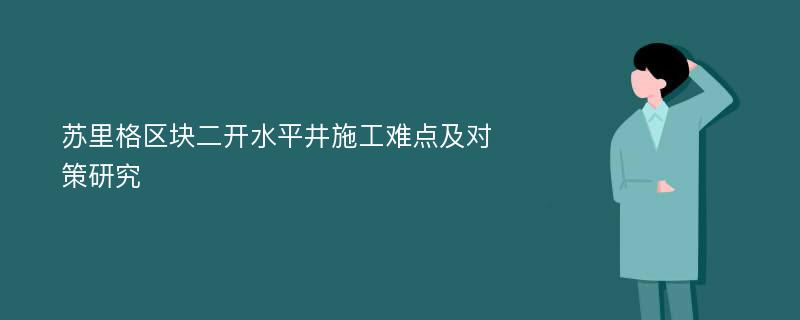 苏里格区块二开水平井施工难点及对策研究