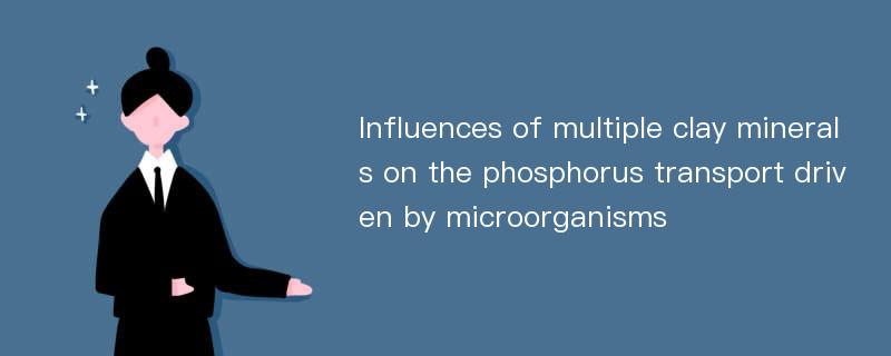 Influences of multiple clay minerals on the phosphorus transport driven by microorganisms