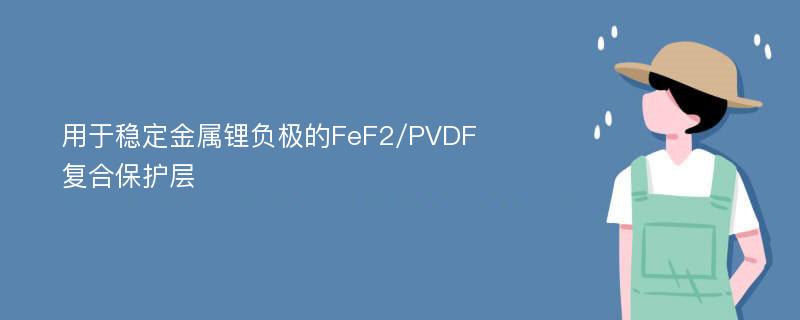 用于稳定金属锂负极的FeF2/PVDF复合保护层