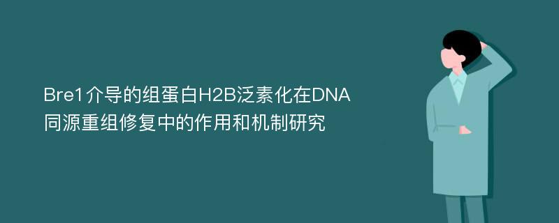Bre1介导的组蛋白H2B泛素化在DNA同源重组修复中的作用和机制研究