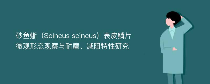砂鱼蜥（Scincus scincus）表皮鳞片微观形态观察与耐磨、减阻特性研究