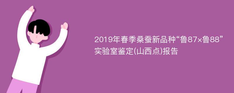 2019年春季桑蚕新品种“鲁87×鲁88”实验室鉴定(山西点)报告