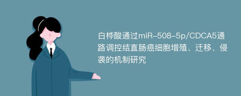 白桦酸通过miR-508-5p/CDCA5通路调控结直肠癌细胞增殖、迁移、侵袭的机制研究