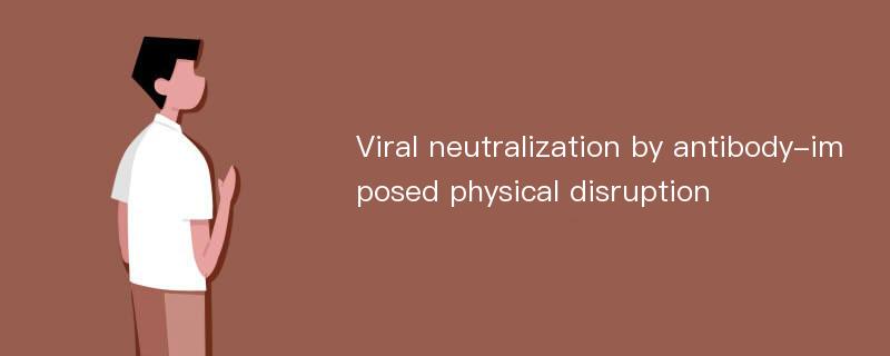 Viral neutralization by antibody-imposed physical disruption