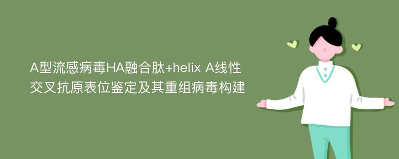 A型流感病毒HA融合肽+helix A线性交叉抗原表位鉴定及其重组病毒构建