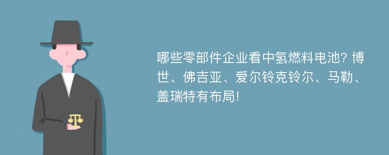 哪些零部件企业看中氢燃料电池? 博世、佛吉亚、爱尔铃克铃尔、马勒、盖瑞特有布局!