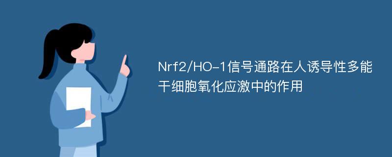 Nrf2/HO-1信号通路在人诱导性多能干细胞氧化应激中的作用