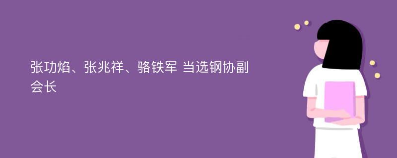 张功焰、张兆祥、骆铁军 当选钢协副会长